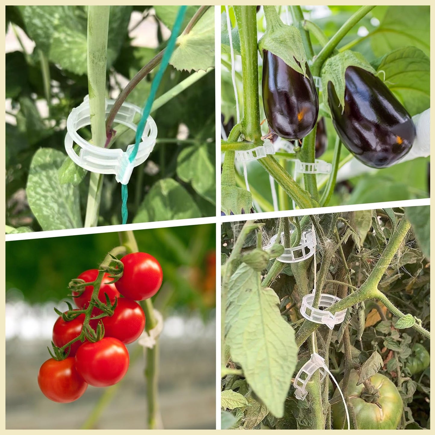 Dalzom® 300Pcs Tomato Clips, Plastic Trellis Clips Plant Support Clips, Plant Clips for Support, Grape Vine, Tomato Vine, Vegetables Plants, Garden Clips to Grow Upright Makes Plants Healthier